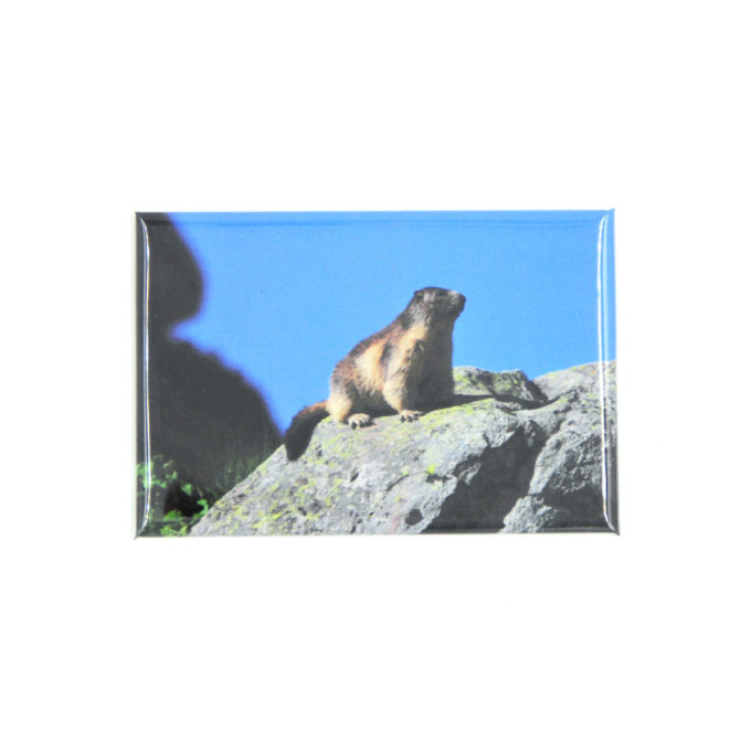 magnet-frigo-marmotte-rocher.jpg