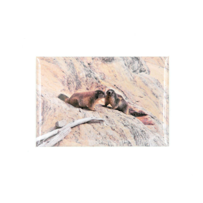magnet-photo-marmottes.jpg