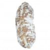 saucisson-aux-noisettes-e1454249679584.jpg