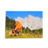 tableau-toile-vache-aiguille-fruit.jpg