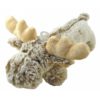 trousse-elan-rodadou-.jpg